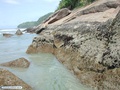 Praia da Fazenda