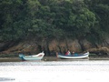 Baía do Araçá