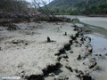 Praia da Fazenda